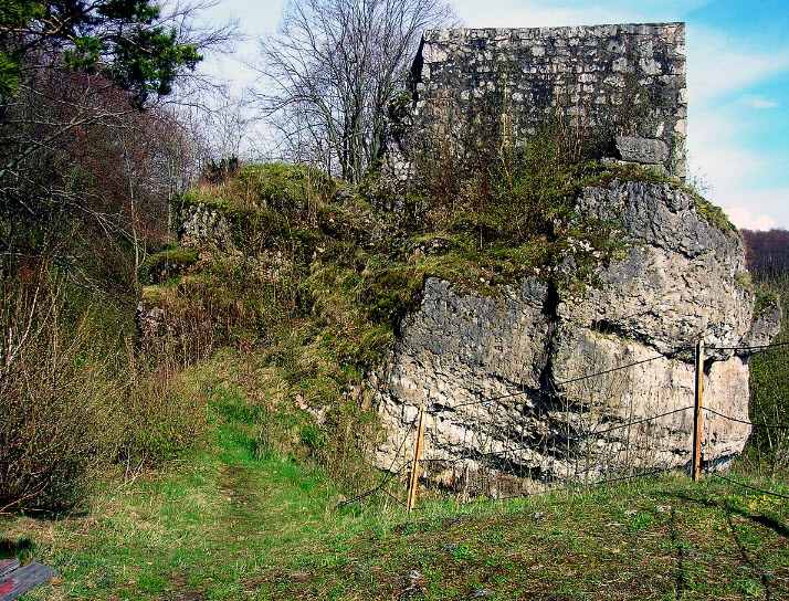 Burgruine Osternohe, Germany